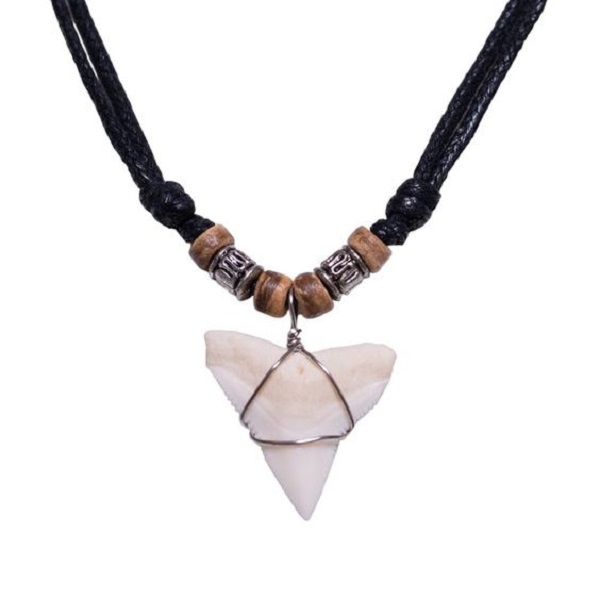 Craft your own shark tooth necklace